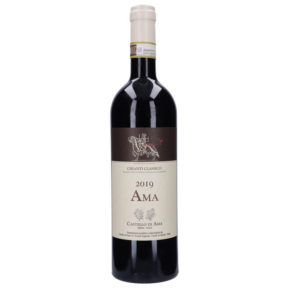 2008 Castello Di Ama Chianti Classico Riserva - Bottle Hero