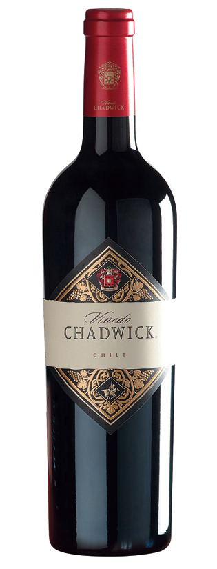 2017 Vinedo Chadwick - Bottle Hero
