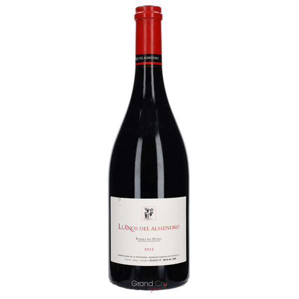 2012 Dominio de Atauta Llanos del Almendro - Bottle Hero
