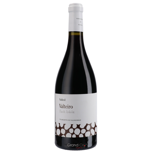2015 Valdesil Valteiro María Ardoña - Bottle Hero