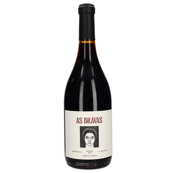 2016 El Enemigo As Bravas Pampa El Cepillo Malbec - Bottle Hero