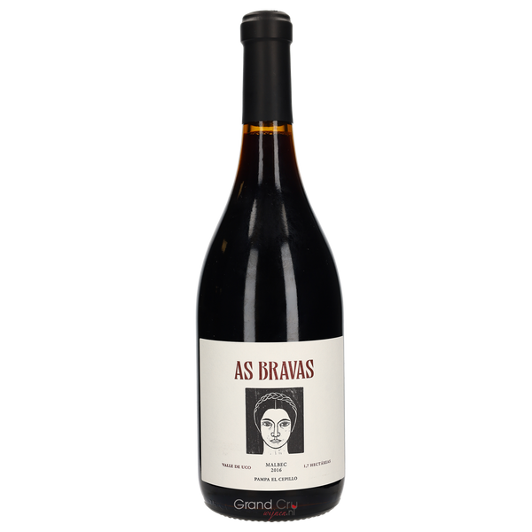 2018 El Enemigo As Bravas Pampa El Cepillo Malbec - Bottle Hero
