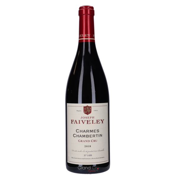 2019 Domaine Faiveley Charmes-Chambertin Grand Cru Magnum - Bottle Hero