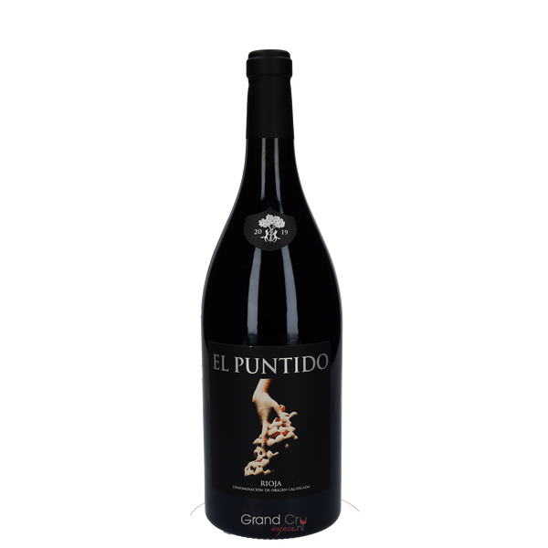 2019 Paganos El Puntido Magnum - Bottle Hero