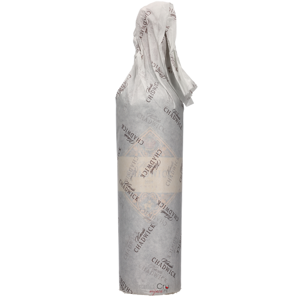 2019 Vinedo Chadwick - Bottle Hero