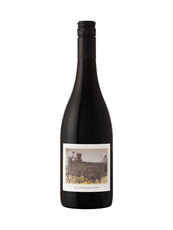 2021 The Language of Yes Syrah Rancho Real Vineyard - Bottle Hero