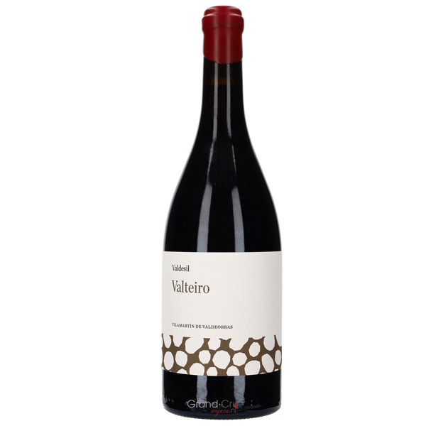 2021 Valdesil Valteiro María Ardoña - Bottle Hero