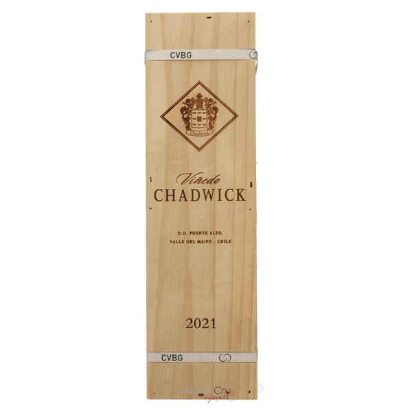 2021 Vinedo Chadwick Magnum - Bottle Hero