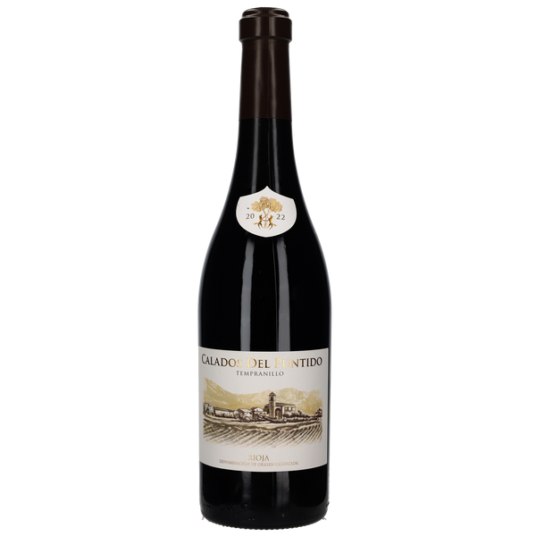 2022 Vinedos de Paganos Calados del Puntido - Bottle Hero