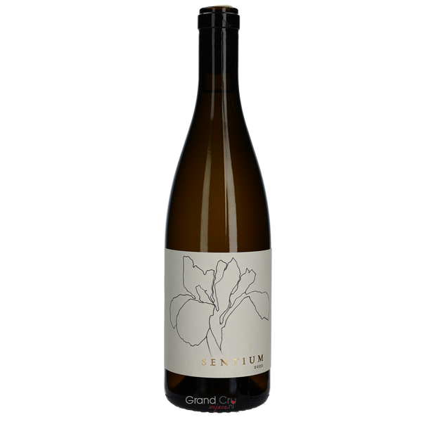 2022 Continuum Sentium - Bottle Hero