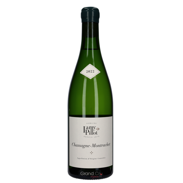 2022 Domaine Lamy-Pillot Chassagne Montrachet Chardonnay Magnum - Bottle Hero