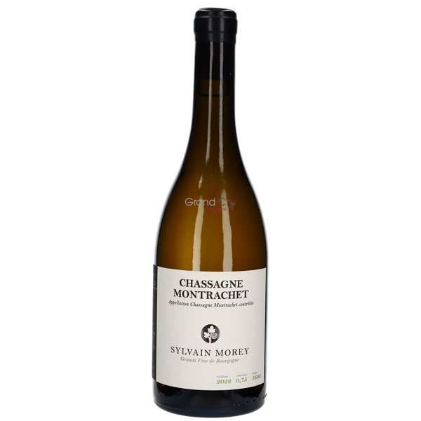 2024 Domaine Sylvain Morey Chassagne-Montrachet Blanc - Bottle Hero