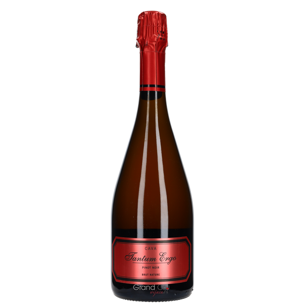 2022 Hispano Suizas Tantum Ergo Pinot Noir Rosé Brut Nature - Bottle Hero