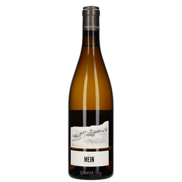 2022 Viña Mein O Gran Meín Blanco - Bottle Hero