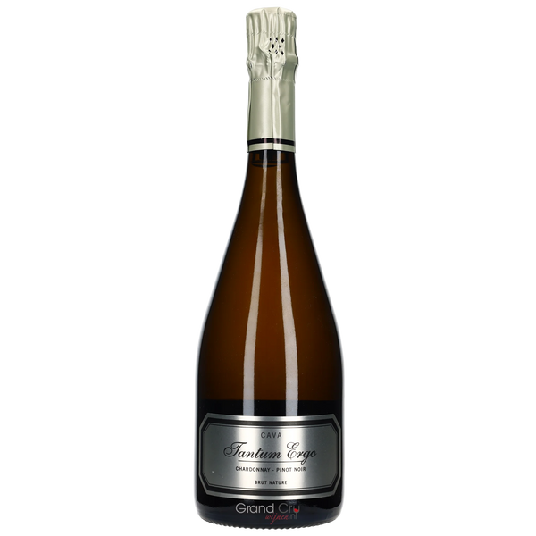 2022 Hispano Suizas Tantum Ergo Chardonnay Pinot Noir Brut Nature - Bottle Hero
