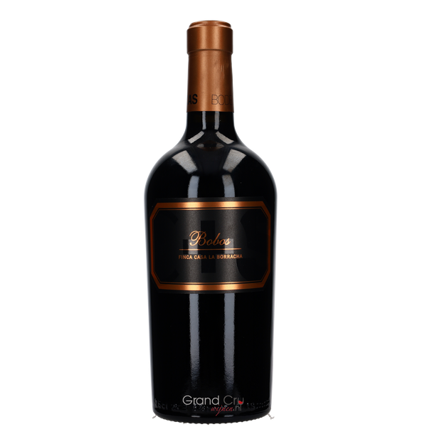 2023 Hispano Suizas Bobos Finca Casa La Borracha - Bottle Hero