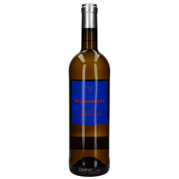 2025 Quinta Apolonia Belondrade - Bottle Hero