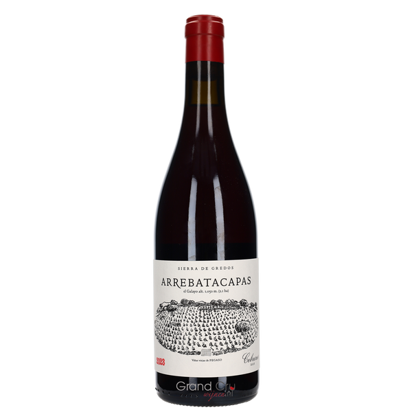 2023 Telmo Rodriguez Pegaso Arrebatacapas - Bottle Hero