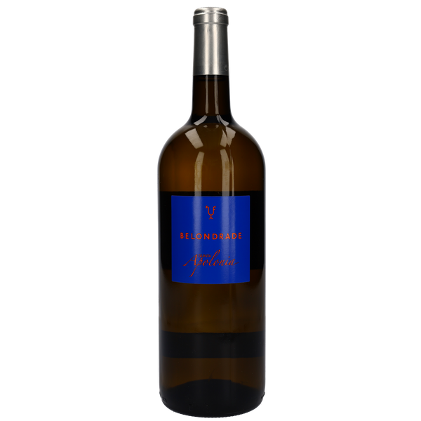 2025 Quinta Apolonia Belondrade Magnum - Bottle Hero