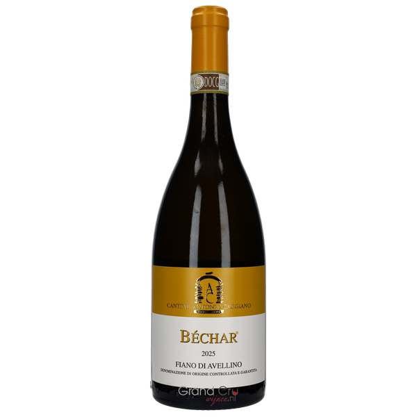 2025 Antonio Caggiano Bechar Fiano di Avellino - Bottle Hero