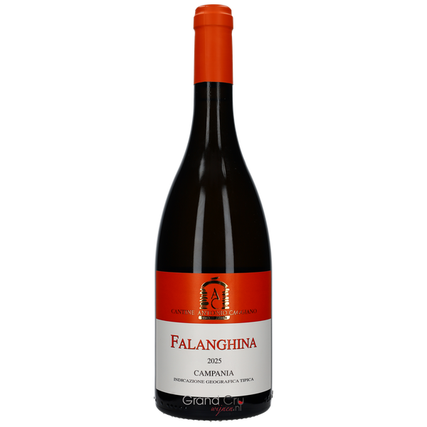 2025 Antonio Caggiano Falanghina Campania - Bottle Hero