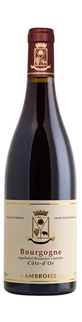 Maison Ambroise, Bourgogne Rouge Côte d'Or MG, 2023 - Bottle Hero