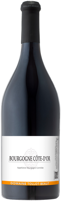 Domaine Tollot-Beaut, Bourgogne Rouge Cote d'Or, 2024 - Bottle Hero