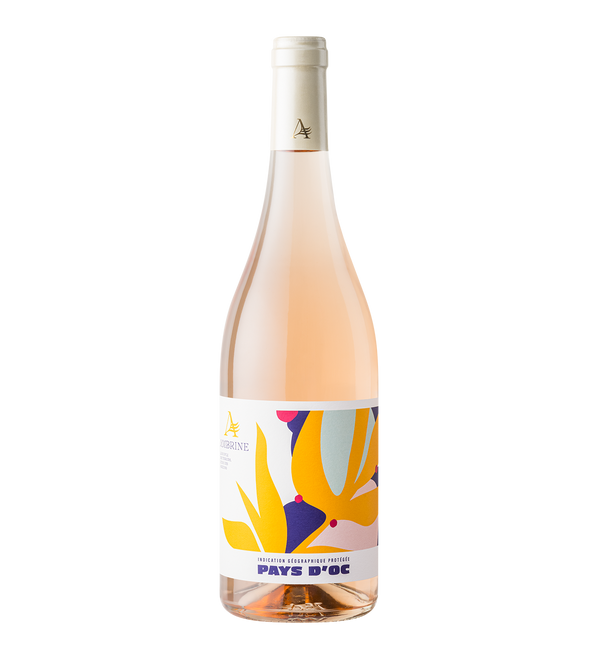 Ambrine Rosé 2025 - Bottle Hero
