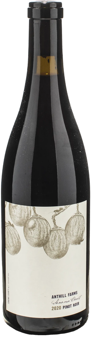 Anthill Farms Pinot Noir Sonoma Coast 2020