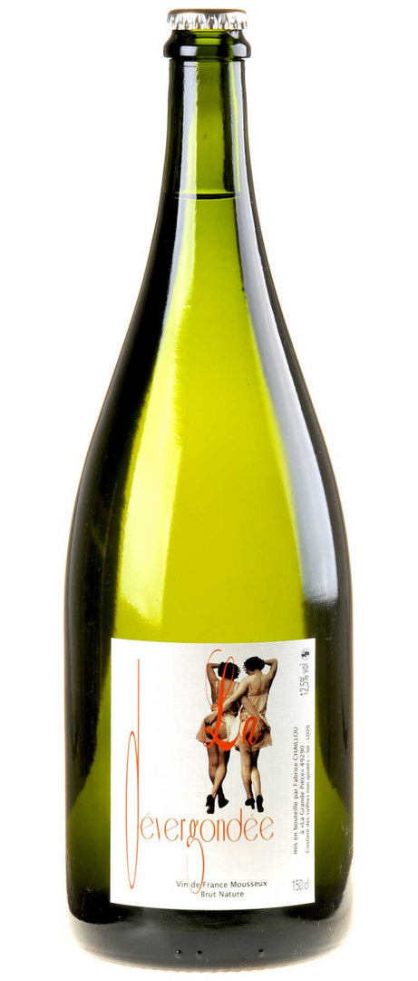 Fabrice Chaillou La Dévergondée Pet Nat 2020 Magnum white - Bottle Hero