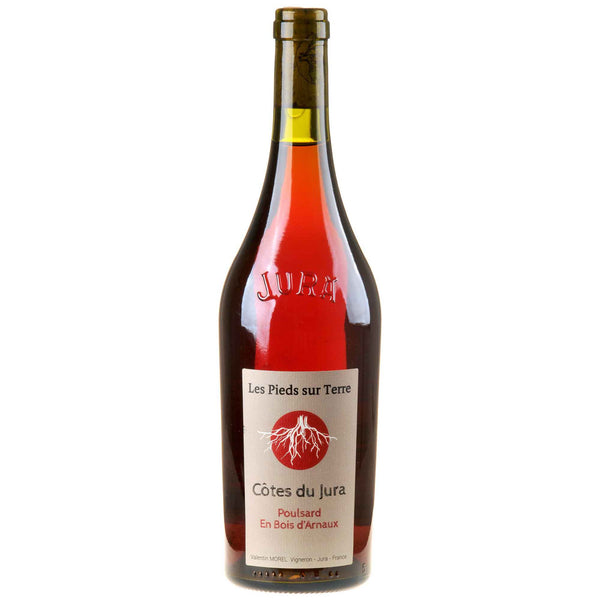 Les Pieds sur Terre – Valentin Morel Poulsard en Bois d'Arnaux 2023 - Bottle Hero
