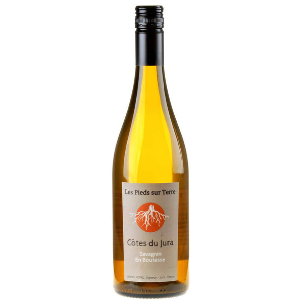 Les Pieds sur Terre – Valentin Morel Savagnin En Boutasse Maceration 2023 white - Bottle Hero