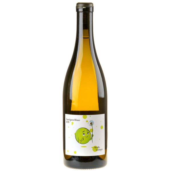 Kissinger-Bähr Sauvignon Blanc Bio 2024 white - Bottle Hero