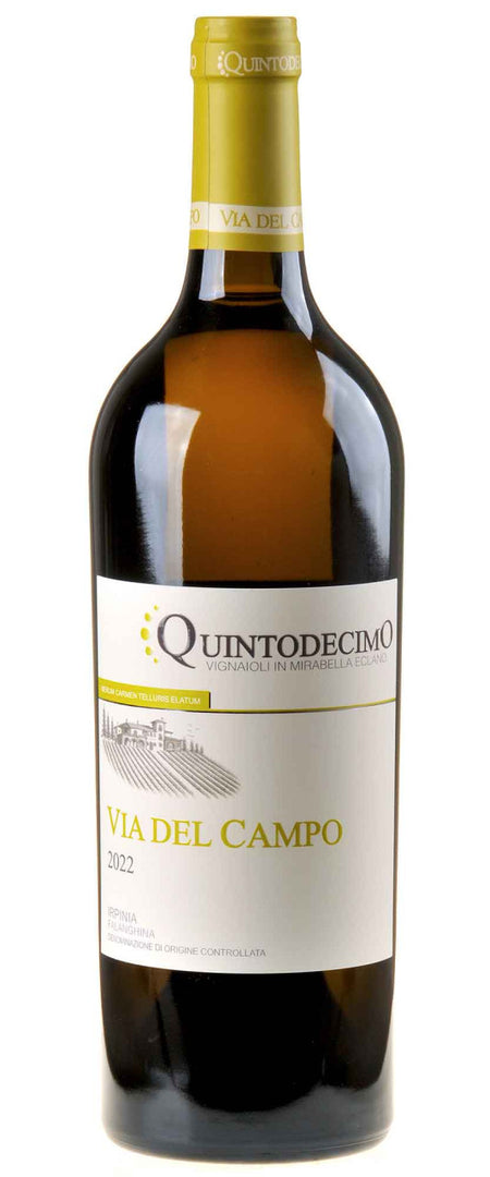 Quintodecimo Falanghina Via Del Campo 2022 white - Bottle Hero