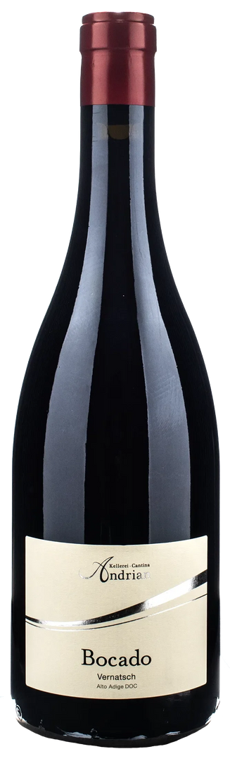 Cantina Andriano Schiava Bocado 2025 - Bottle Hero