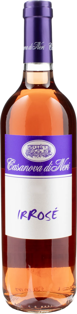 Casanova di Neri IRRose 2023