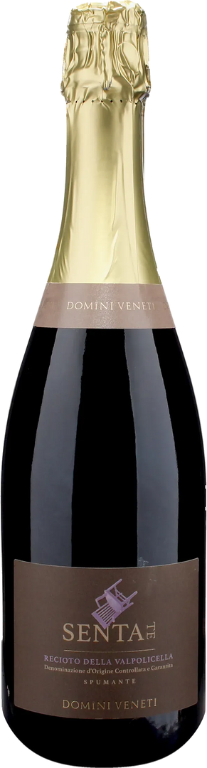 Domini Veneti Recioto della Valpolicella Sentate Spumante Dolce 2024 - Bottle Hero