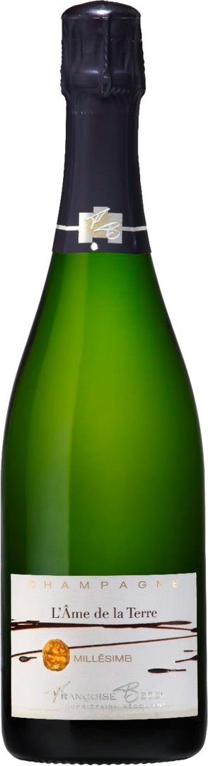 Françoise Bedel L'ame De La Terre Françoise Bedel, 2008 - Bottle Hero