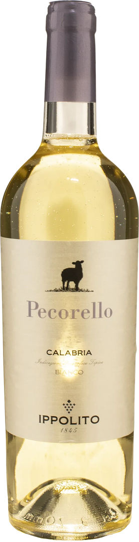 Ippolito 1845 Pecorello 2025