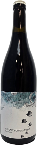 Les Horees Coteaux Bourguignons Mont Poulain 2024 - Bottle Hero
