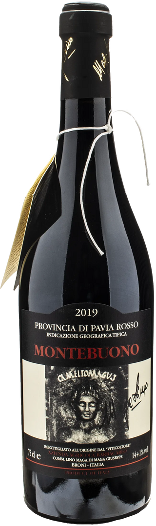 Lino Maga Montebuono 2019
