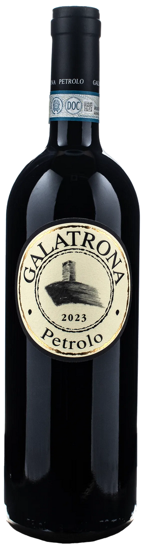 Petrolo Val d'Arno di Sopra Merlot Vigna Galatrona 2023 - Bottle Hero