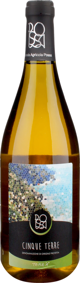 Possa Cinque Terre Bianco 2025 - Bottle Hero