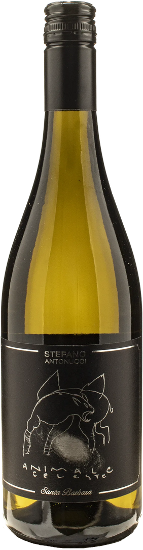 Santa Barbara Animale Celeste Sauvignon 2025