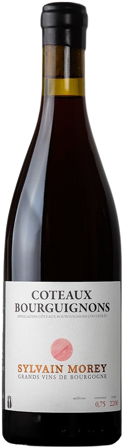 Sylvain Morey, Coteaux Bourguignons, 2024 - Bottle Hero